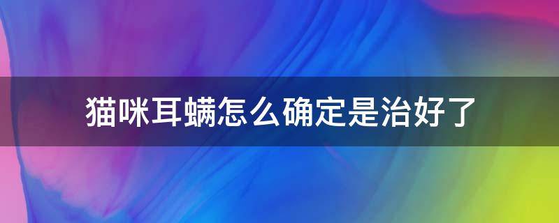 猫咪耳螨怎么确定是治好了 猫咪耳螨七种治疗方法