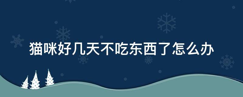 猫咪好几天不吃东西了怎么办（家里的猫几天不吃东西怎么办）