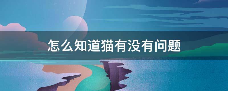 怎么知道猫有没有问题 如何看猫有没有问题