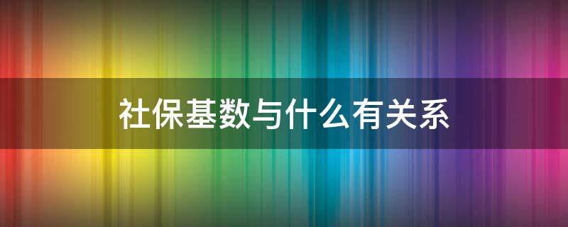 社保基数与什么有关系（社保缴费基数跟什么有关系）