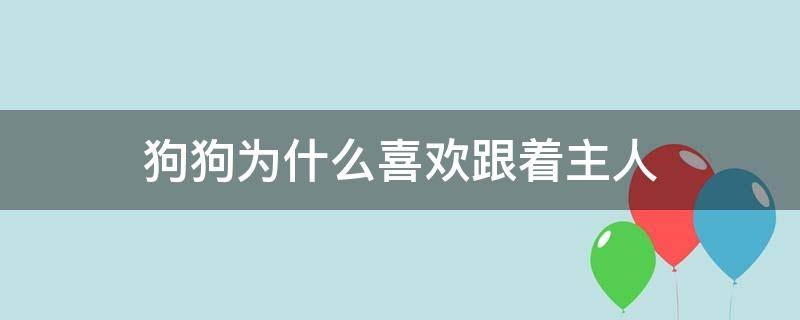 狗狗为什么喜欢跟着主人 狗狗为什么喜欢跟着主人上厕所