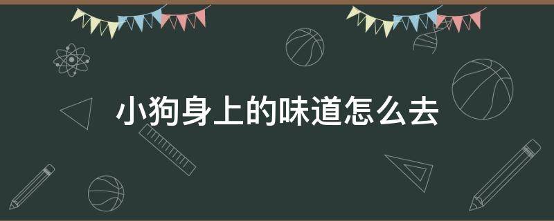 小狗身上的味道怎么去（小狗身上有味道怎么处理）