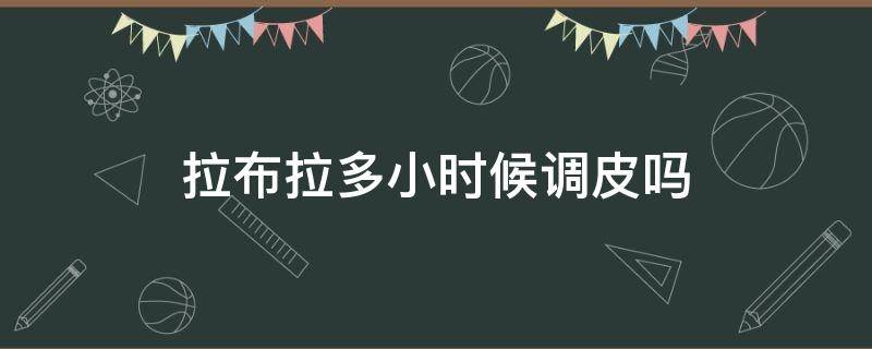 拉布拉多小时候调皮吗 是不是每个拉布拉多小时候都很活泼