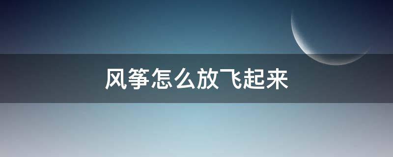 风筝怎么放飞起来（风筝怎么放飞起来技巧）