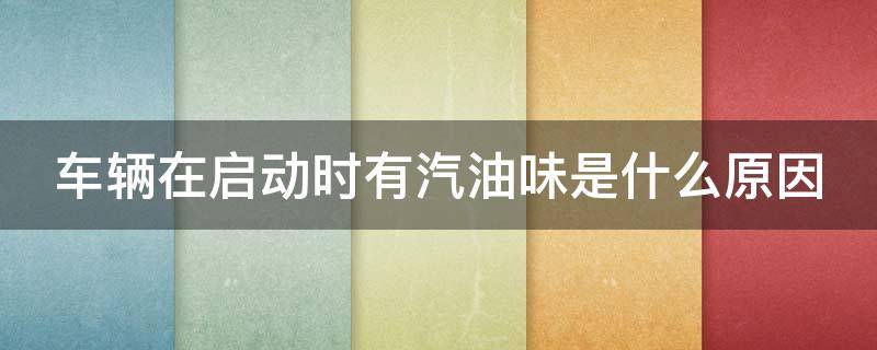 车辆在启动时有汽油味是什么原因 车启动的时候有汽油味是怎么回事