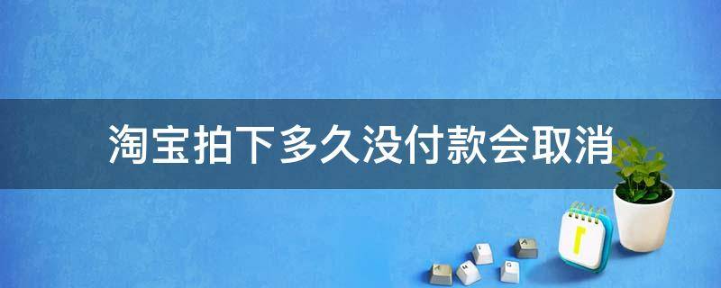 淘宝拍下多久没付款会取消（淘宝拍的东西一直没付款会取消吗）