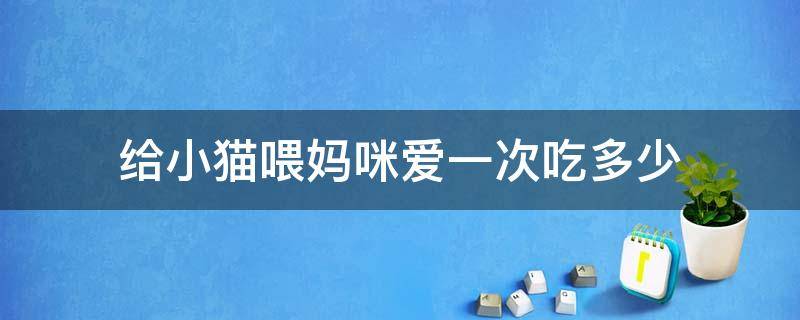 给小猫喂妈咪爱一次吃多少 给猫咪喂妈咪爱一次喂多少