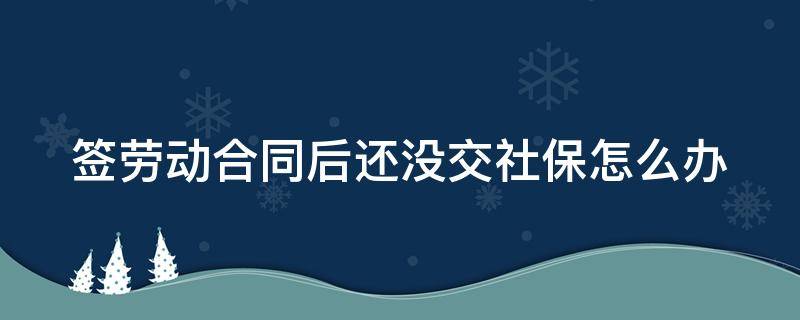 签劳动合同后还没交社保怎么办（签了劳动合同但没交社保怎么处理）