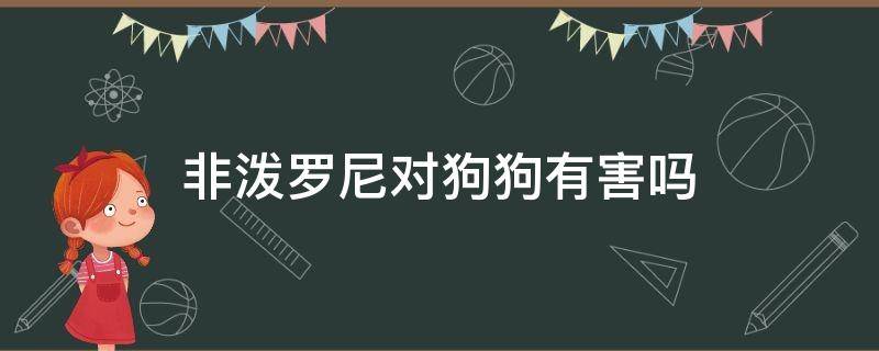 非泼罗尼对狗狗有害吗 非泼罗尼喷剂狗会死