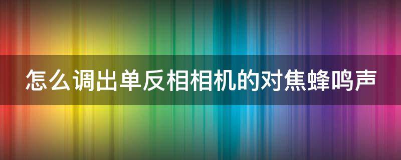 怎么调出单反相相机的对焦蜂鸣声 单反相机对焦声音怎么开