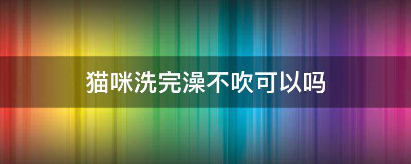 猫咪洗完澡不吹可以吗（猫咪洗了澡可以不吹吗）