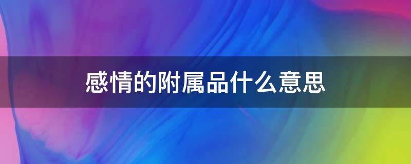 感情的附属品什么意思 爱情的附属品有哪些