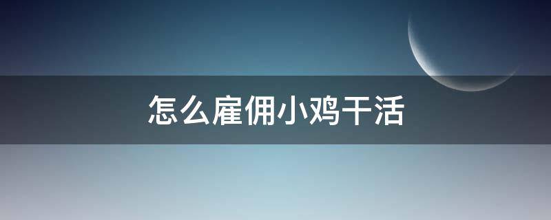 怎么雇佣小鸡干活 雇佣小鸡能干嘛