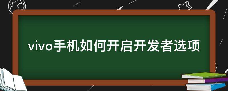 vivo手机如何开启开发者选项 Vivo手机如何打开开发者选项