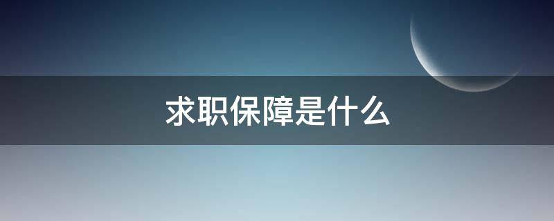 求职保障是什么 加入求职者保障计划啥意思