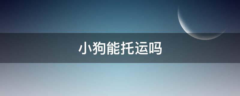 小狗能托运吗（狗可以托运吗?）