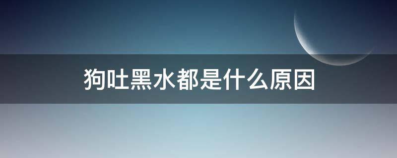 狗吐黑水都是什么原因（狗吐黑水是死前征兆吗）