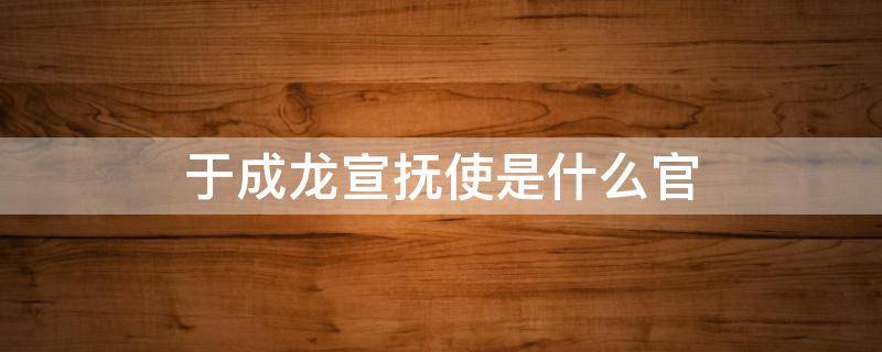 于成龙宣抚使是什么官（于成龙宣抚使是什么官职）