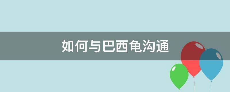 如何与巴西龟沟通 巴西龟和巴西龟之间有交流吗