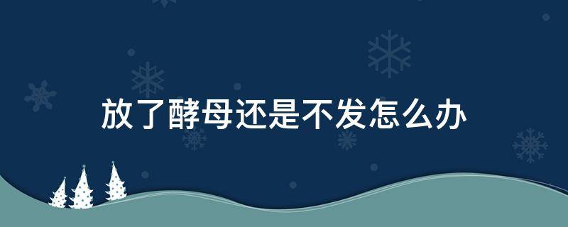 放了酵母还是不发怎么办（放酵母不发酵怎么办）