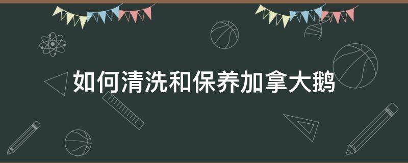 如何清洗和保养加拿大鹅 加拿大鹅用什么清洗