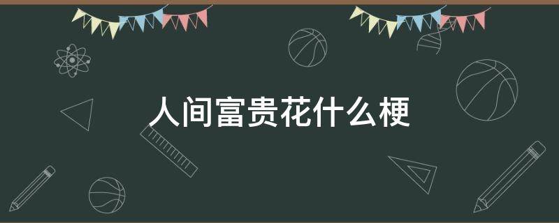 人间富贵花什么梗（人家说你是人间富贵花怎么会）