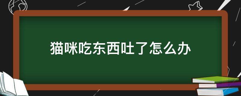 猫咪吃东西吐了怎么办（猫咪吃了东西吐了怎么办）