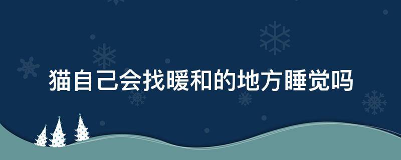 猫自己会找暖和的地方睡觉吗 猫会找个暖和的地方成天睡大觉无忧无虑什么事也不过问