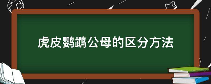 虎皮鹦鹉公母的区分方法 虎皮鹦鹉公母的区别方法