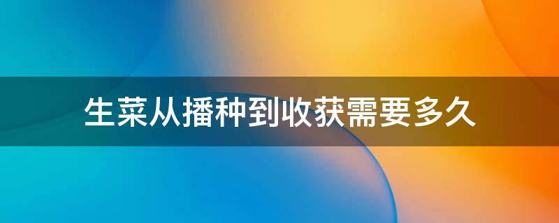 生菜从播种到收获需要多久 生菜生长期多少天可以收获