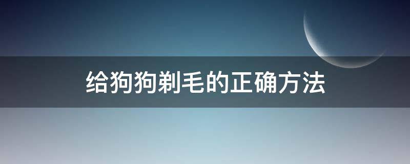 给狗狗剃毛的正确方法 给狗狗剃毛怎么剃方法