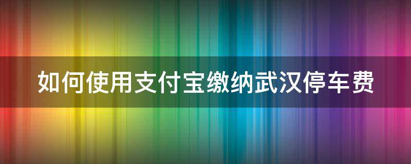 如何使用支付宝缴纳武汉停车费（如何使用支付宝缴纳武汉停车费用）