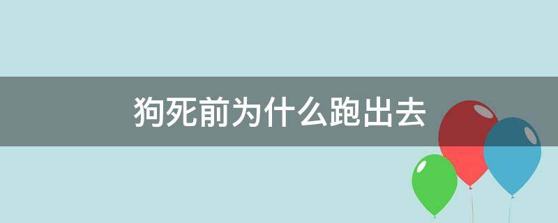 狗死前为什么跑出去 狗为什么要死的时候跑出去