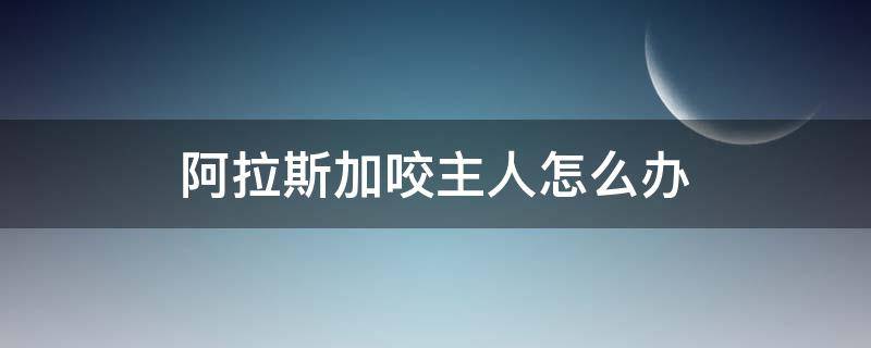阿拉斯加咬主人怎么办 阿拉斯加小时候咬主人怎么办