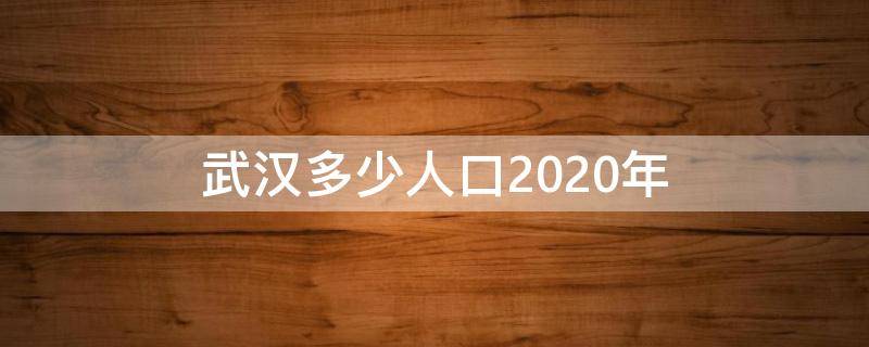 武汉多少人口2020年（2020年武汉人口是多少）