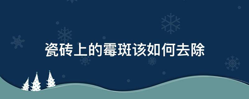 瓷砖上的霉斑该如何去除（瓷砖霉菌菌斑怎么清理）