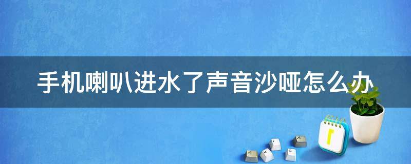 手机喇叭进水了声音沙哑怎么办（手机喇叭进水了声音沙哑怎么办啊）