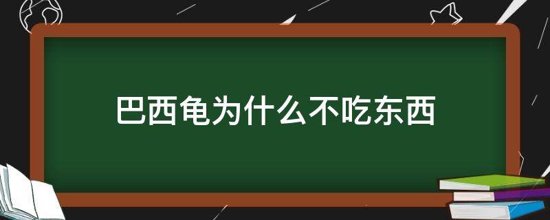 巴西龟为什么不吃东西（巴西龟为什么不吃东西怎么办）