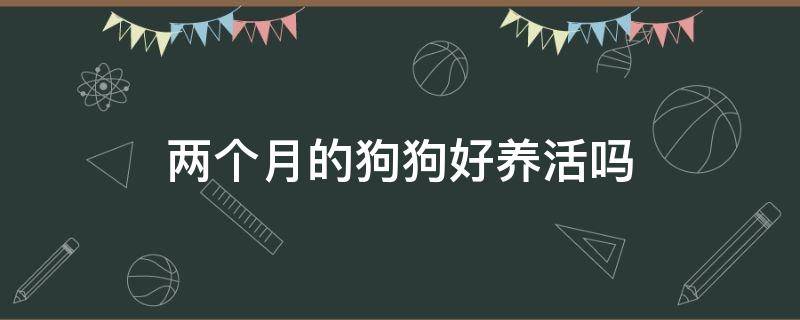 两个月的狗狗好养活吗 两个月的小狗好不好养