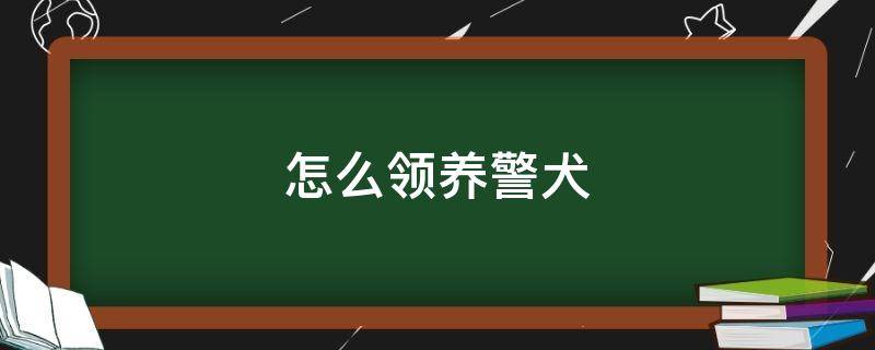 怎么领养警犬 怎么领养警犬淘汰幼犬