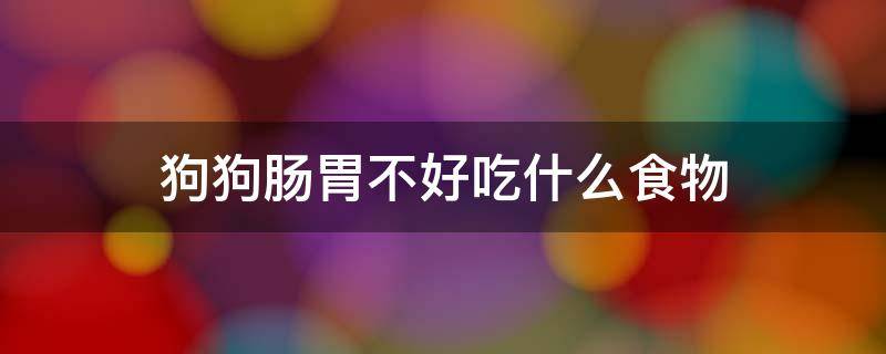 狗狗肠胃不好吃什么食物 狗狗肠胃不太好吃什么可以