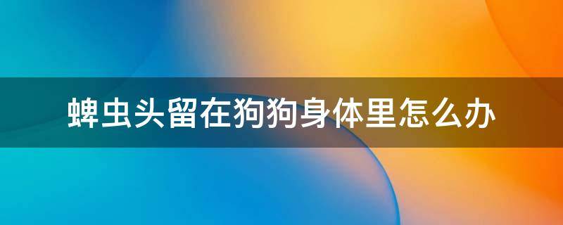 蜱虫头留在狗狗身体里怎么办 如果蜱虫头部留在狗狗皮肤内怎么办