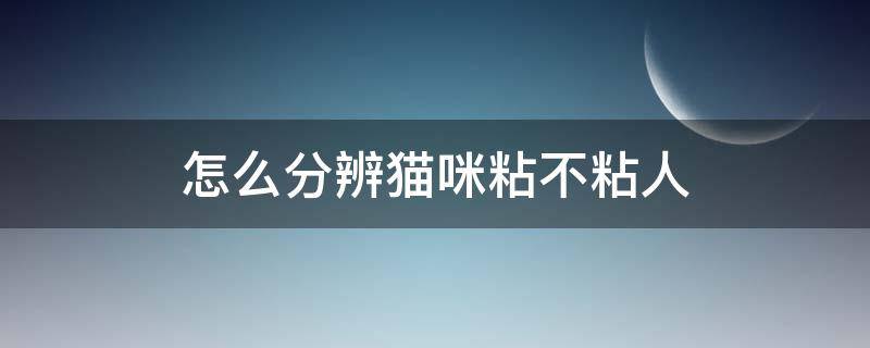 怎么分辨猫咪粘不粘人 猫咪是不是很粘人