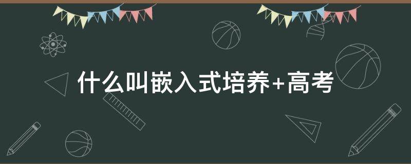 什么叫嵌入式培养 什么叫嵌入式培养专业