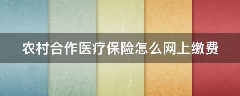 农村合作医疗保险怎么网上缴费 农村合作医疗保险网上缴费查询