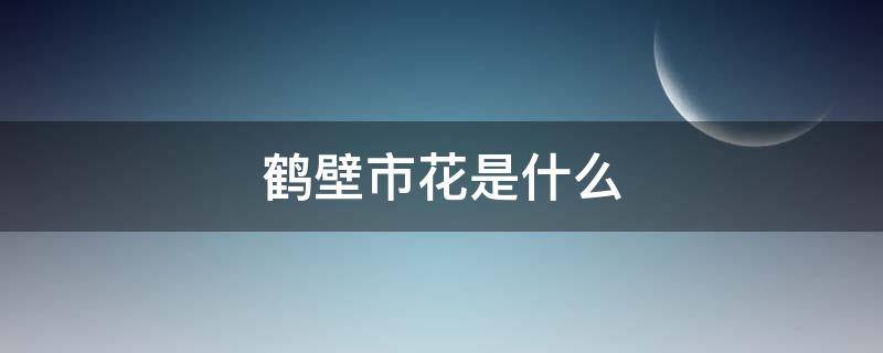 鹤壁市花是什么 河南鹤壁市花