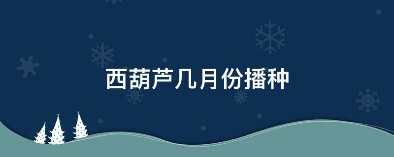 西葫芦几月份播种 西葫芦的播种方法和季节