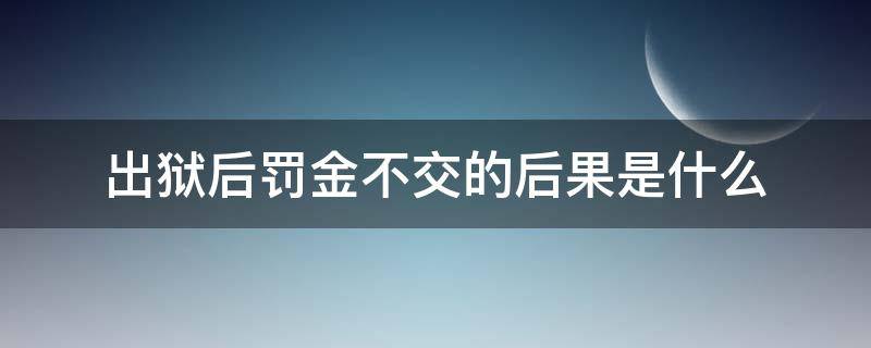 出狱后罚金不交的后果是什么（出狱后交不了罚金有什么影响）