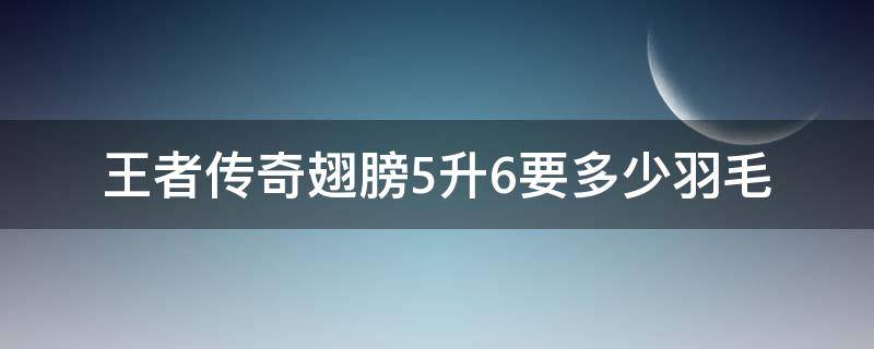 王者传奇翅膀5升6要多少羽毛（王者传奇五级升六级翅膀多少羽毛）