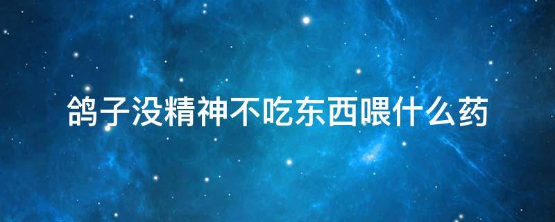 鸽子没精神不吃东西喂什么药（鸽子不吃食没精神喂什么药）